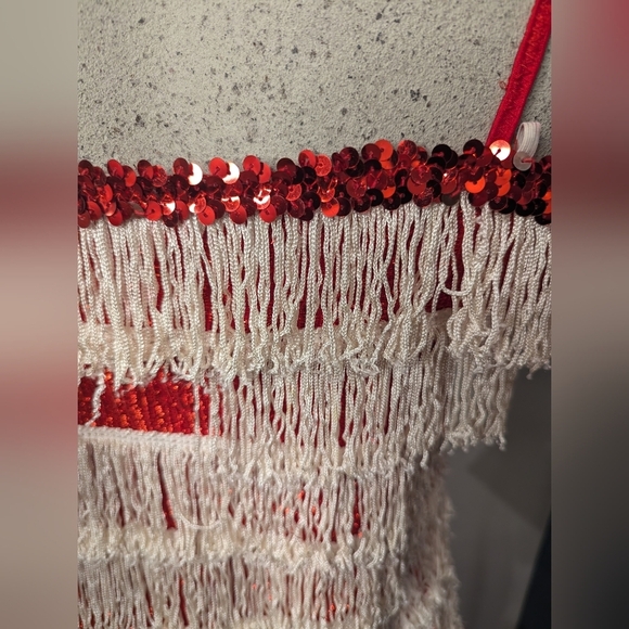 Women’s Red sparkle Fringe 1920’s Flapper Great Gatsby Costume Dress Size XS/S - Picture 8 of 14